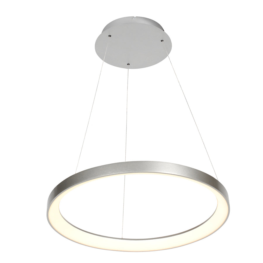 Stalen hanglamp ringlede 4612st met cable-lift systeem