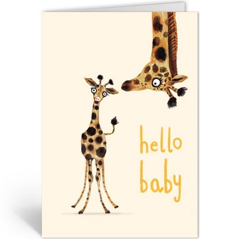 Baby giraffe