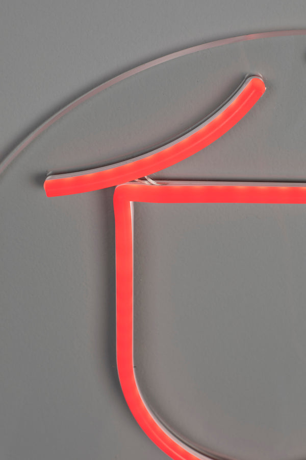 Sya winter neon wandlamp