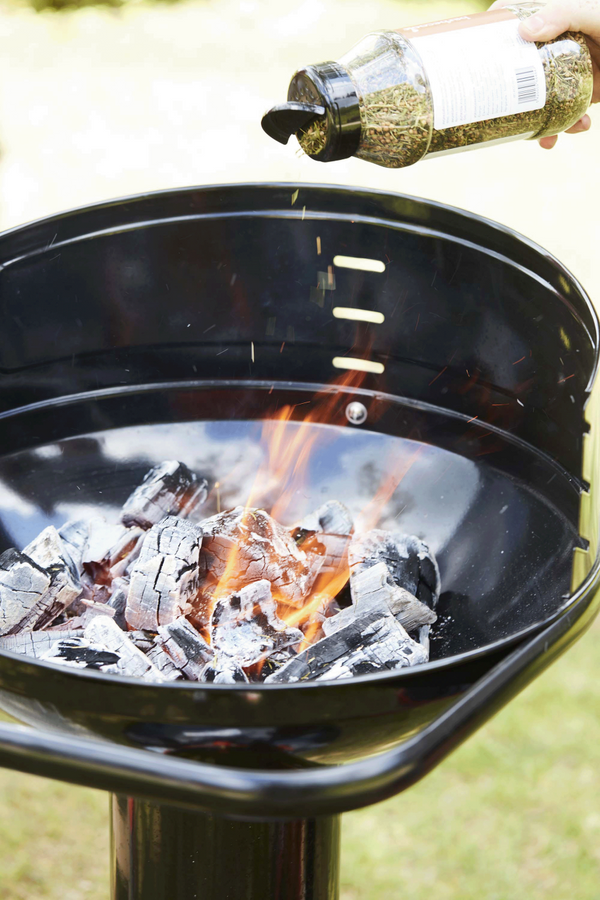 Houtskoolbarbecue Loewy 45