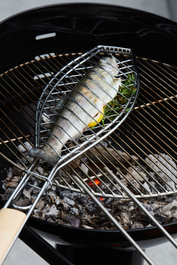 Visgrill FSC