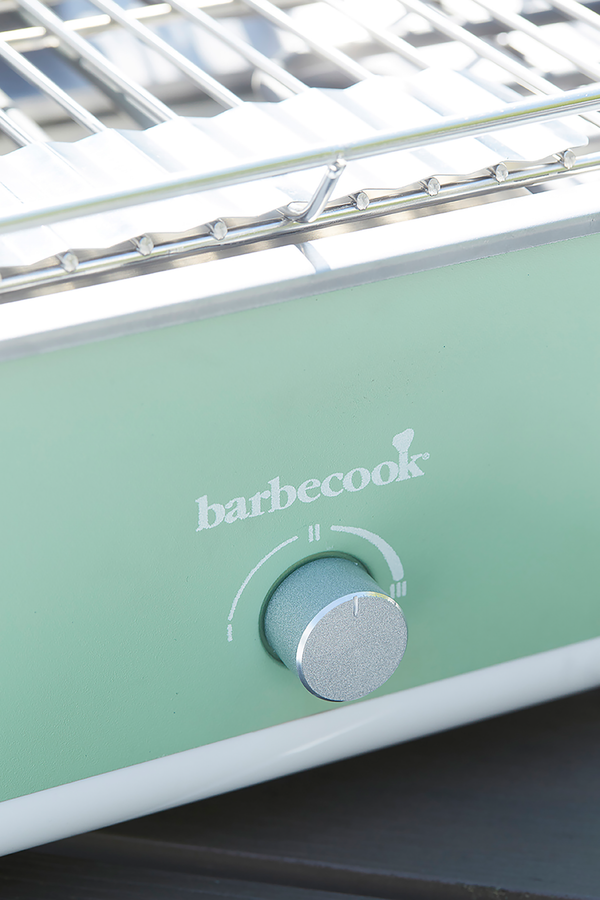 Barbecue E-Carlo groen