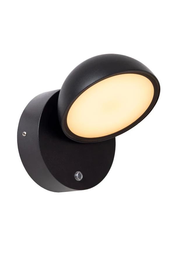 Lucide FINN - Wandlamp Binnen/Buiten - LED - 1x12W 3000K - IP54 - Zwart