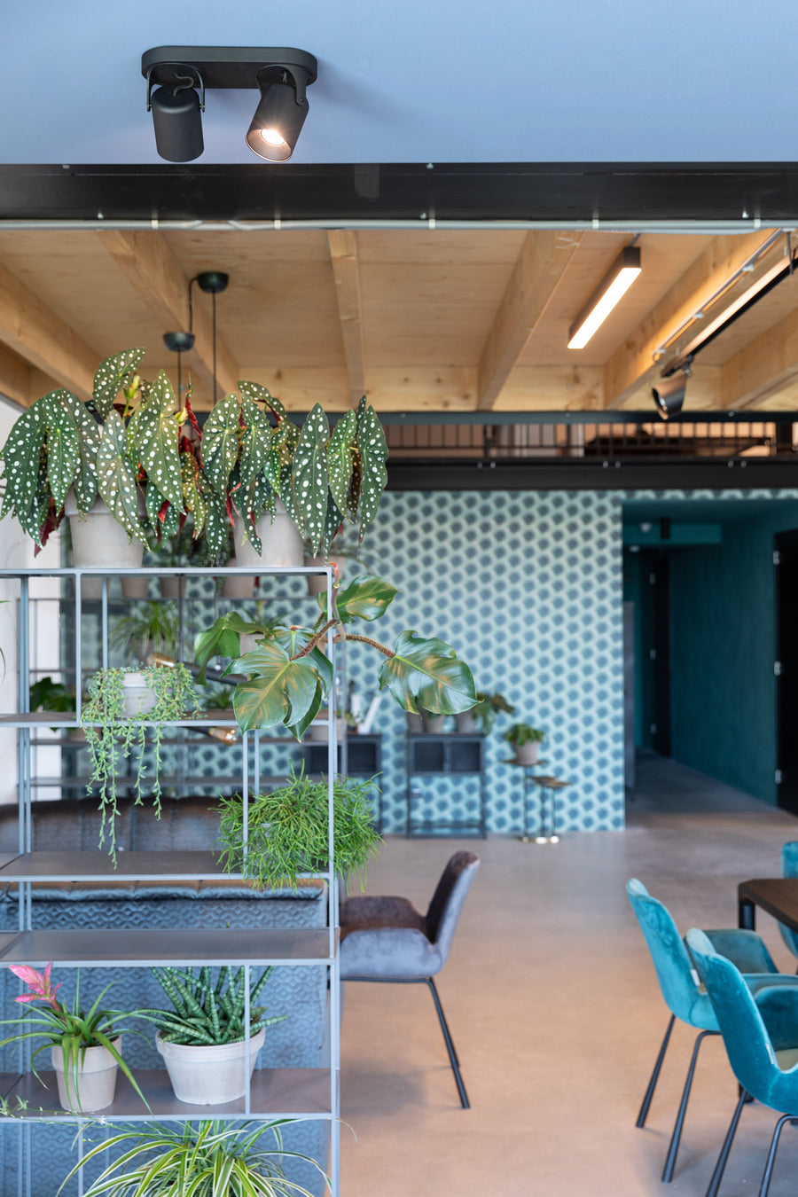 Spot Valon-2 Dtw Zwart