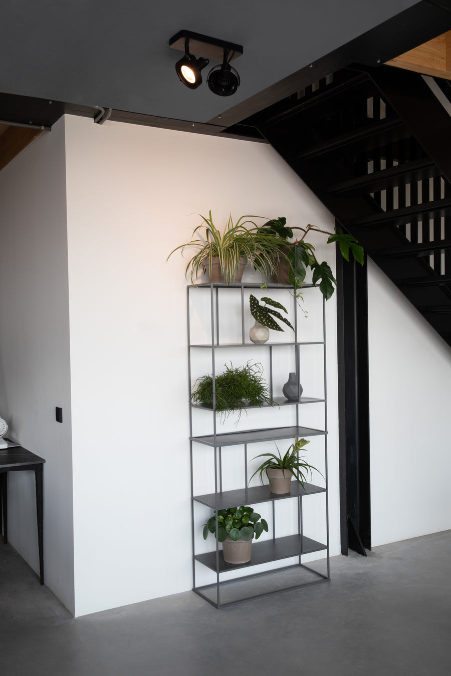Dice-2 dtw spot zwart