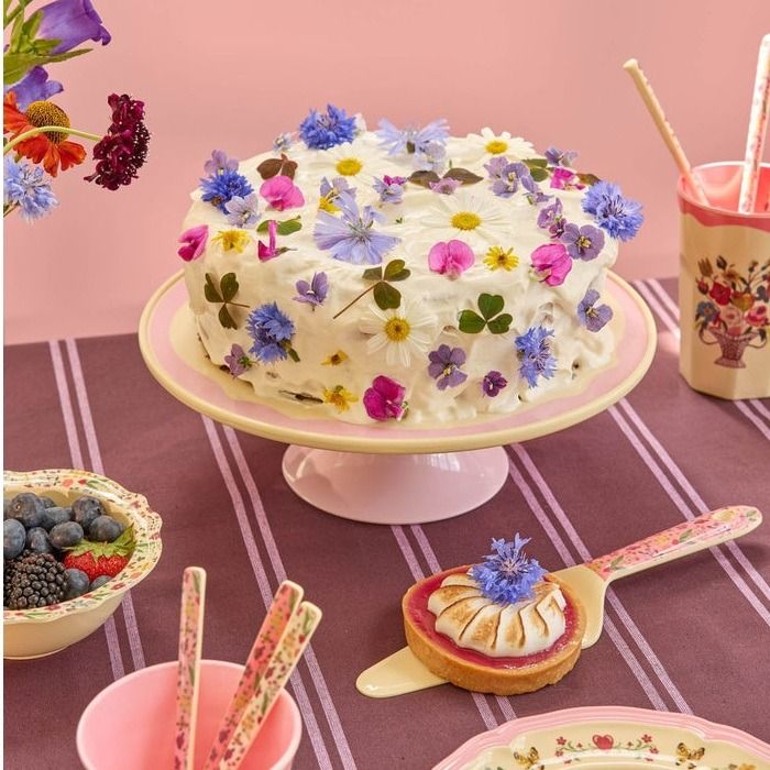 Melamine Cake Server with Nathalie Lété Print