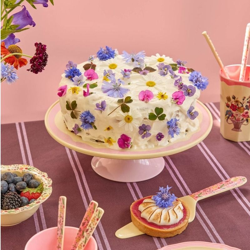 Melamine Cake Stand with Nathalie Lété Print - Low - Pink