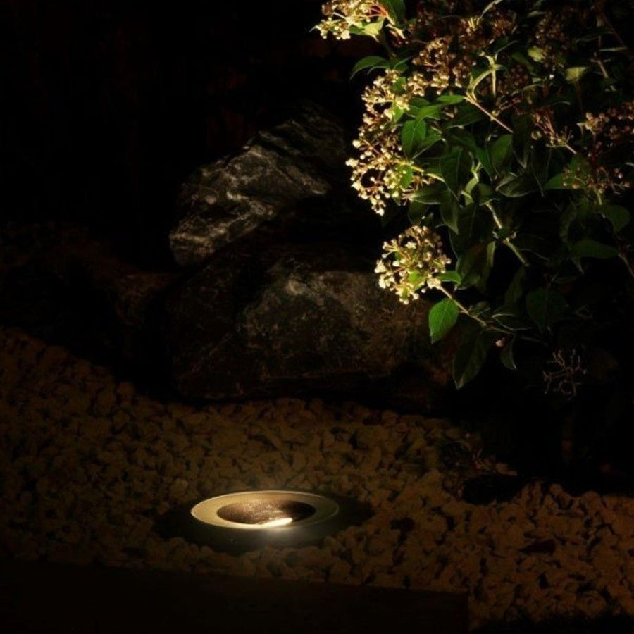 Lamp Rubum
