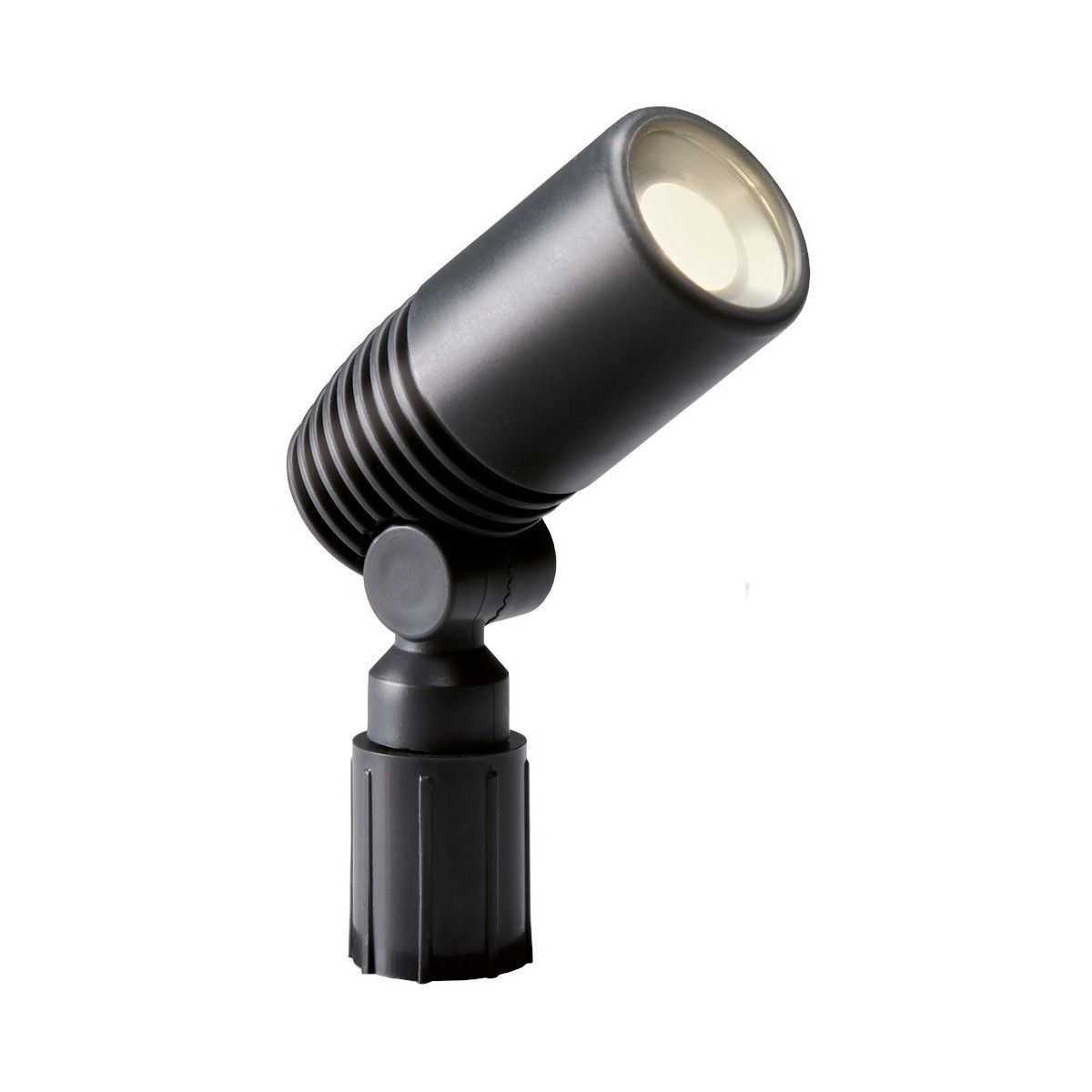 Lamp Alder