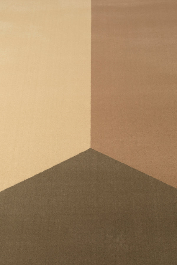 Vloerkleed Harmony 160x230 Desert Sage