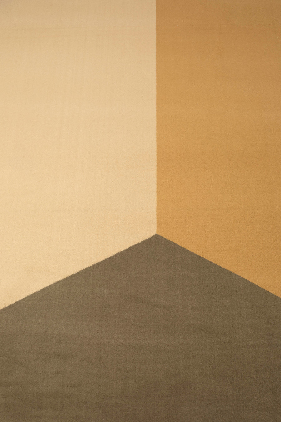 Vloerkleed Harmony 200x290 Bruin Rice