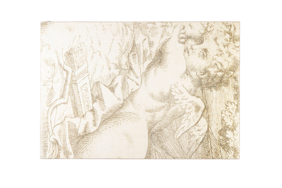 Vloerkleed Amor 200x300
