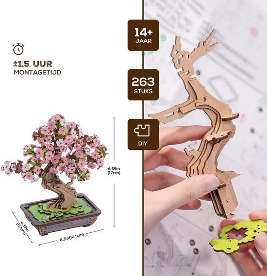 Sakura Bonsai