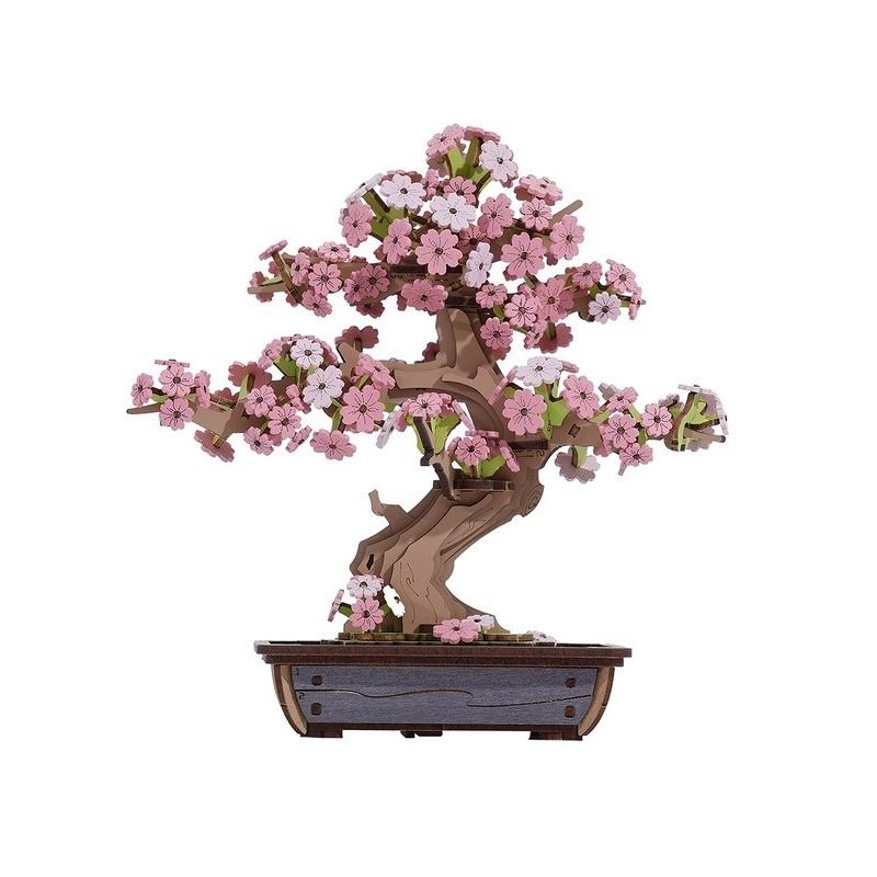 Sakura Bonsai
