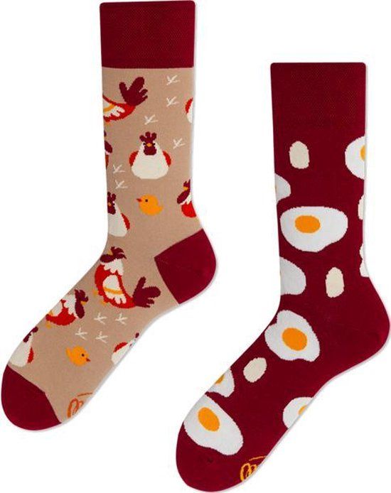 Egg And Chicken