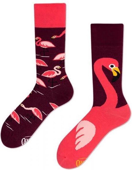 Pink Flamingo