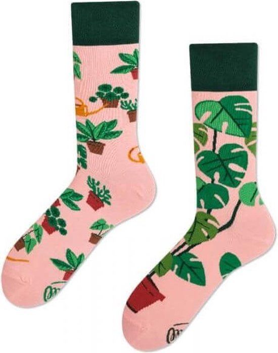Plant Lover
