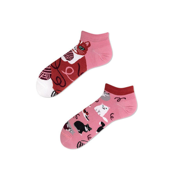 Playful cat low-43-46