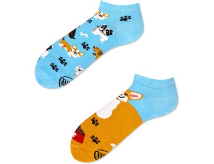Playful dog low-43-46