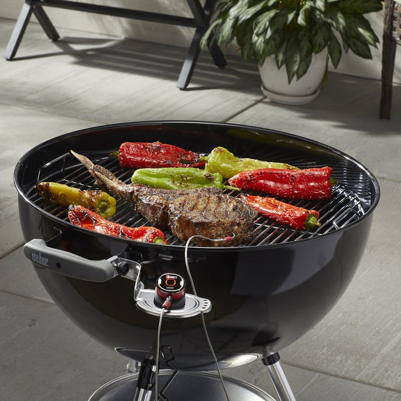 Weber® iGrill™ mini