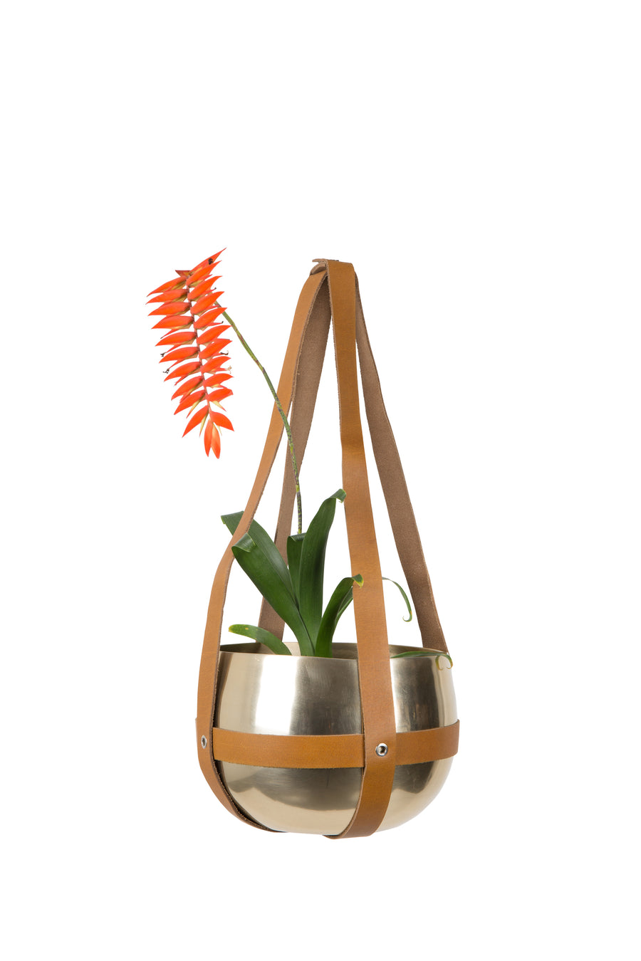 Plantenhanger Oasis (set van 4)