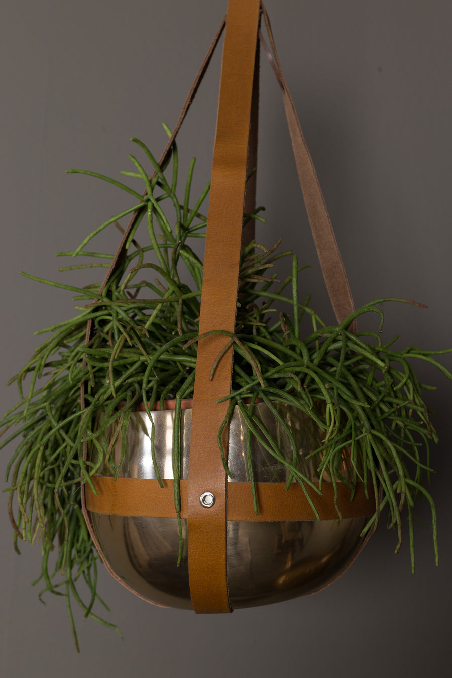 Plantenhanger Oasis (set van 4)
