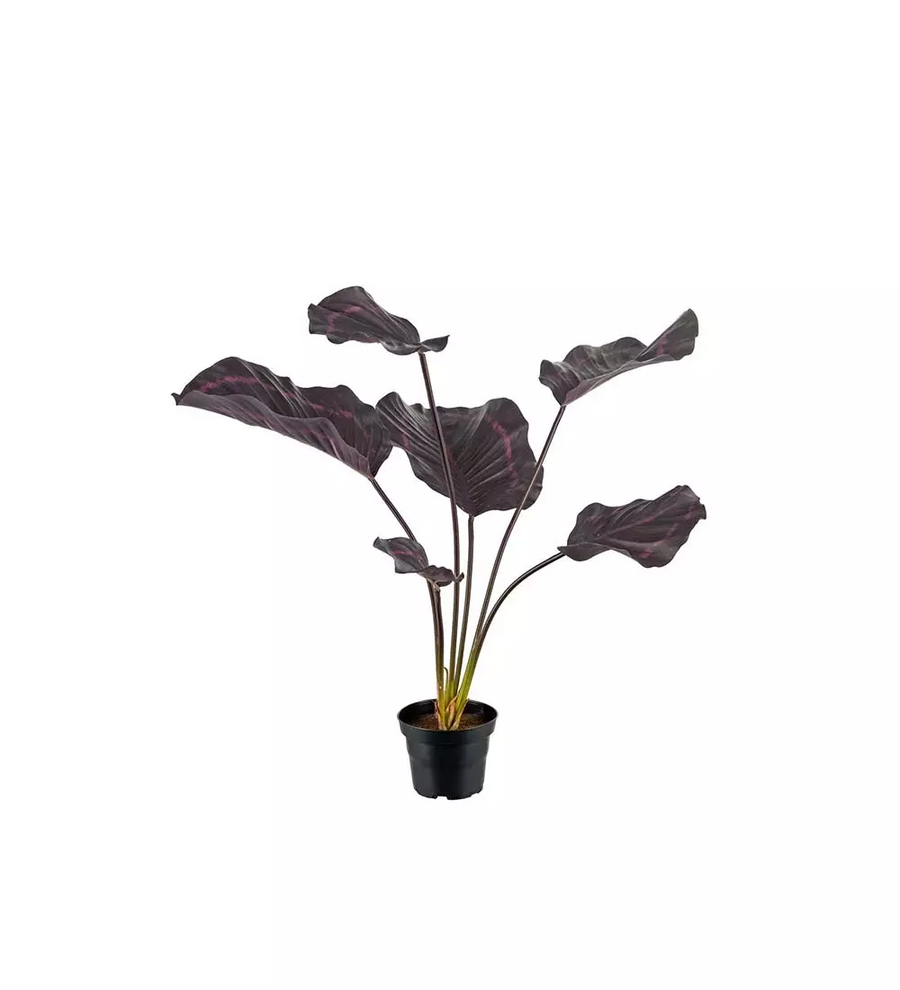Kunstplant Calathea