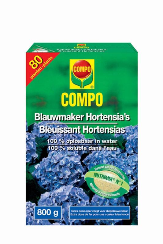 Blauwmaker hortensia's