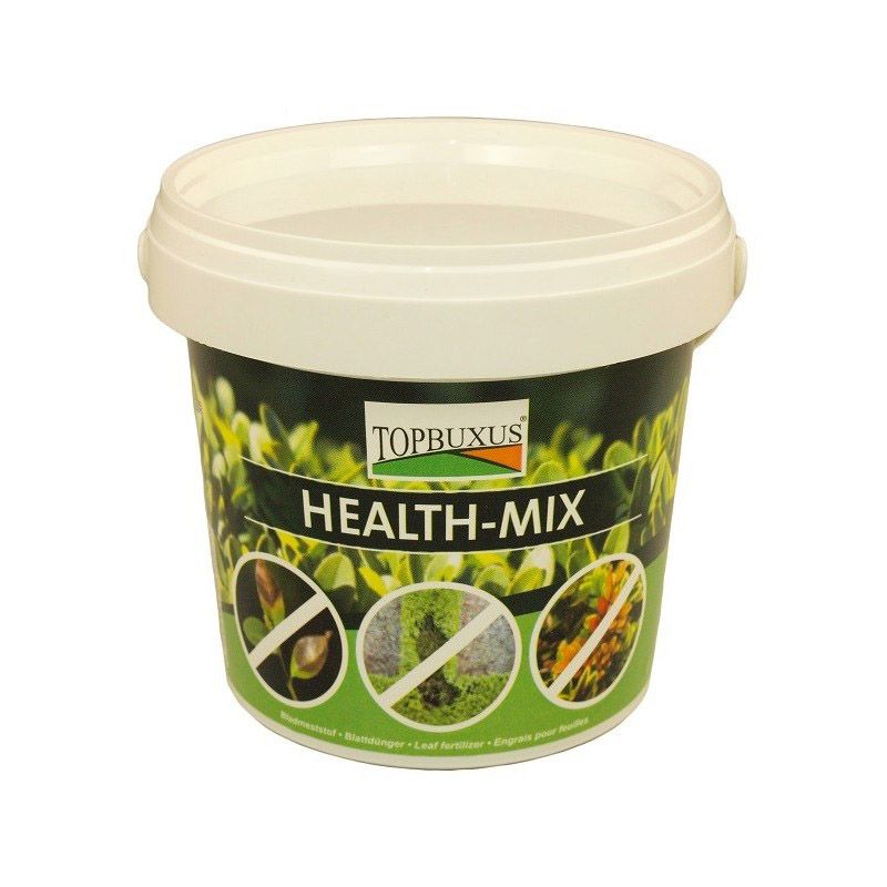 Topbuxus Health-mix 20 gram 10 tabs