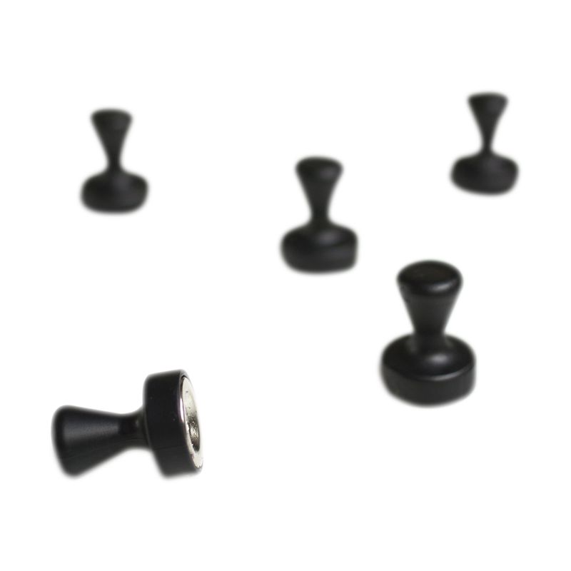 Pionmagneet