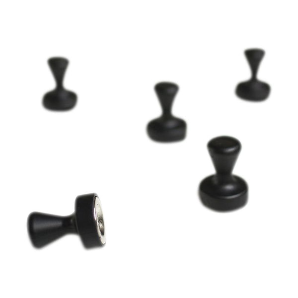 Pionmagneet