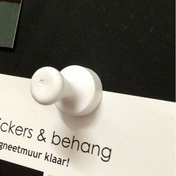 Pionmagneet