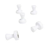 Pionmagneet wit (set van 5)