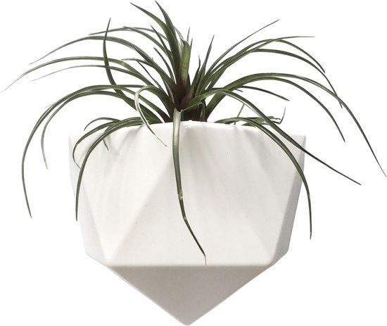 Wall planter ico - white