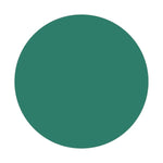 Magneetsticker rond groen