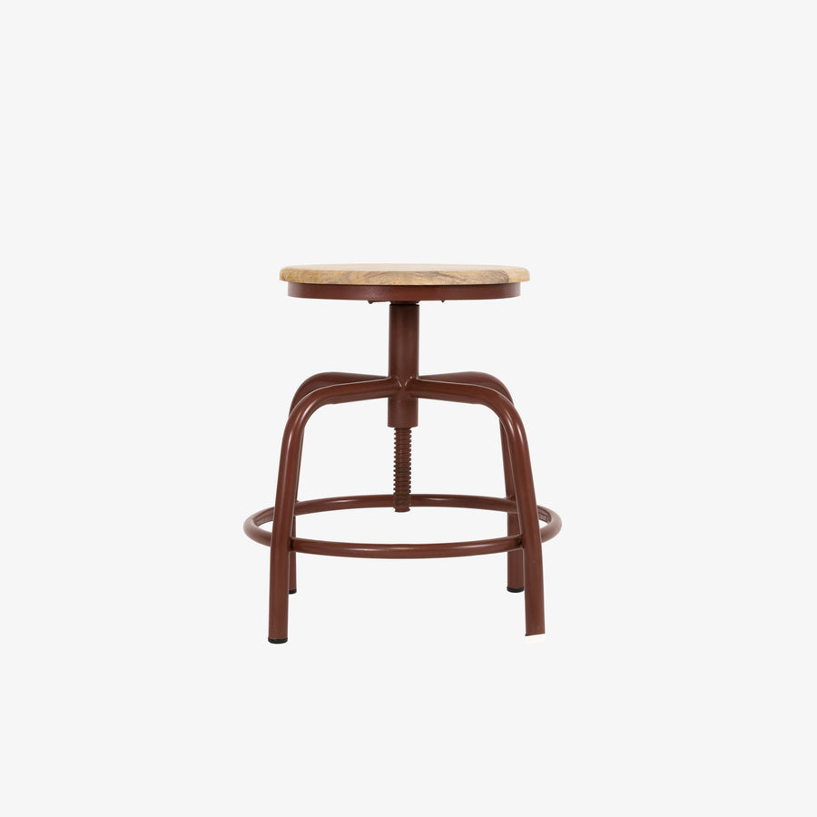 Kruk Denver terra