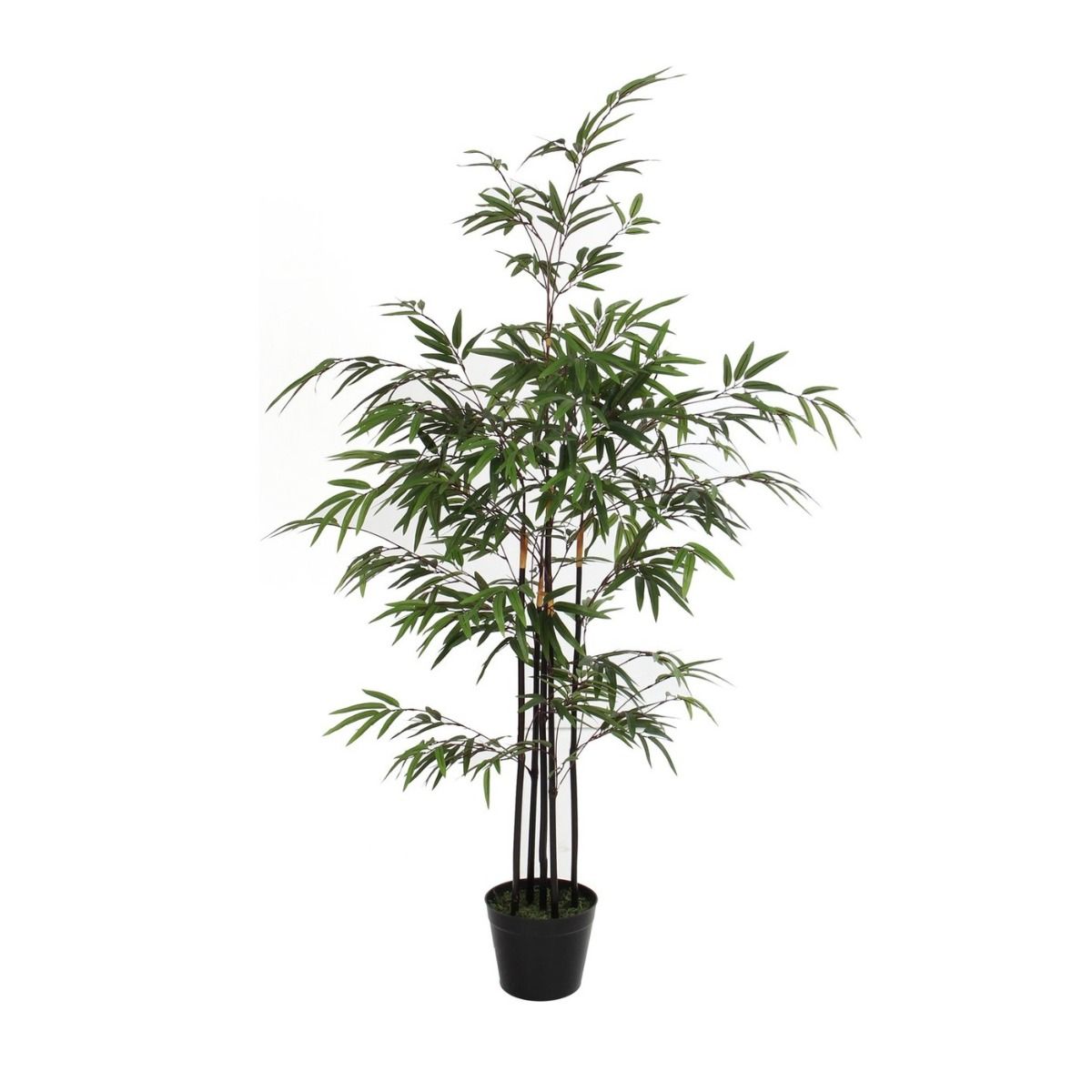 Bamboe groen in plastic pot - h120xd75cm