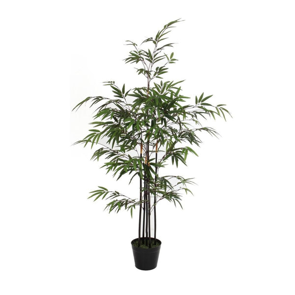 Bamboe groen in plastic pot - h120xd75cm