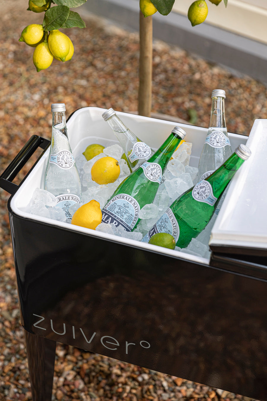 Cooler Be Cool Zwart