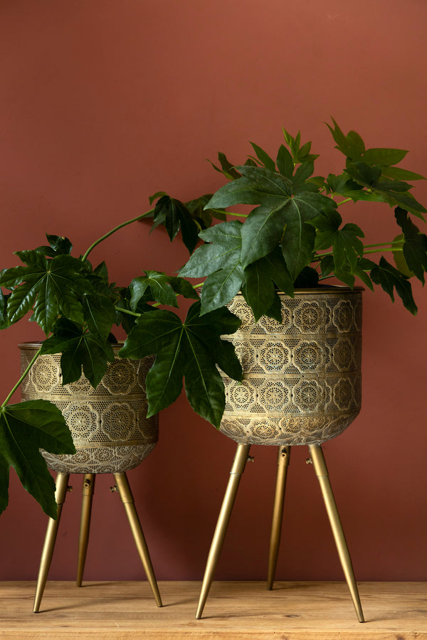 Plantenstandaard Botanique M