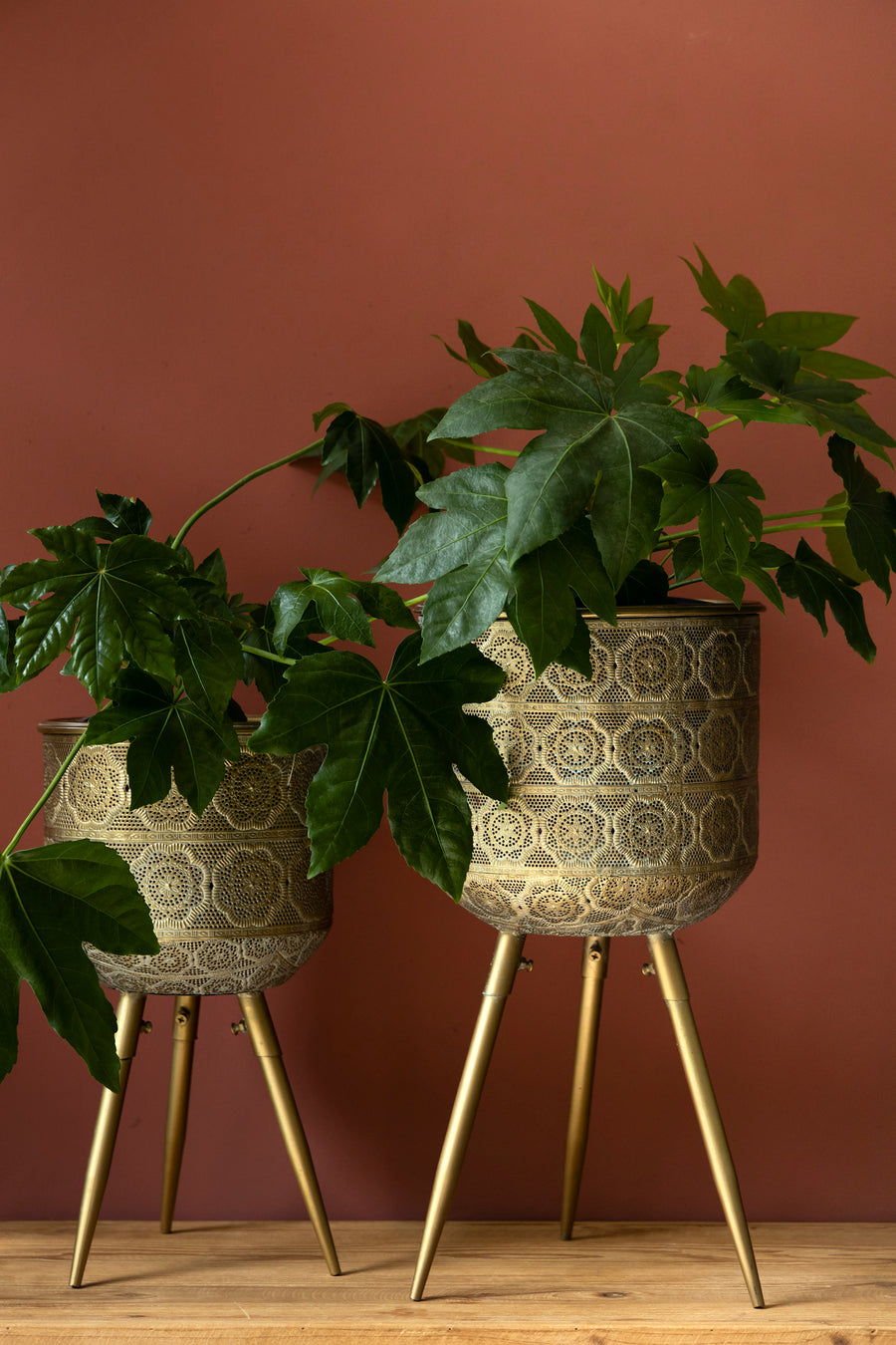 Plantenstandaard Botanique M