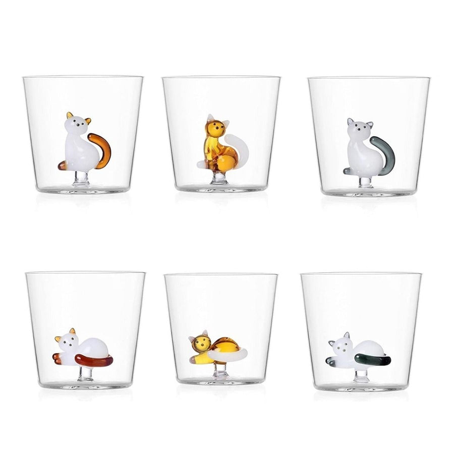tumbler amber cat with white tail