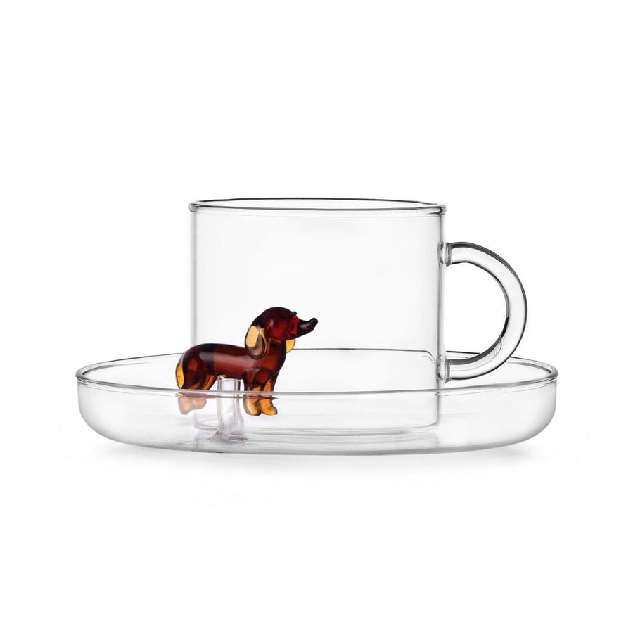 tea cup w/saucer Bassotto