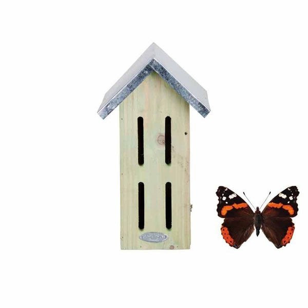 Vlinderkast