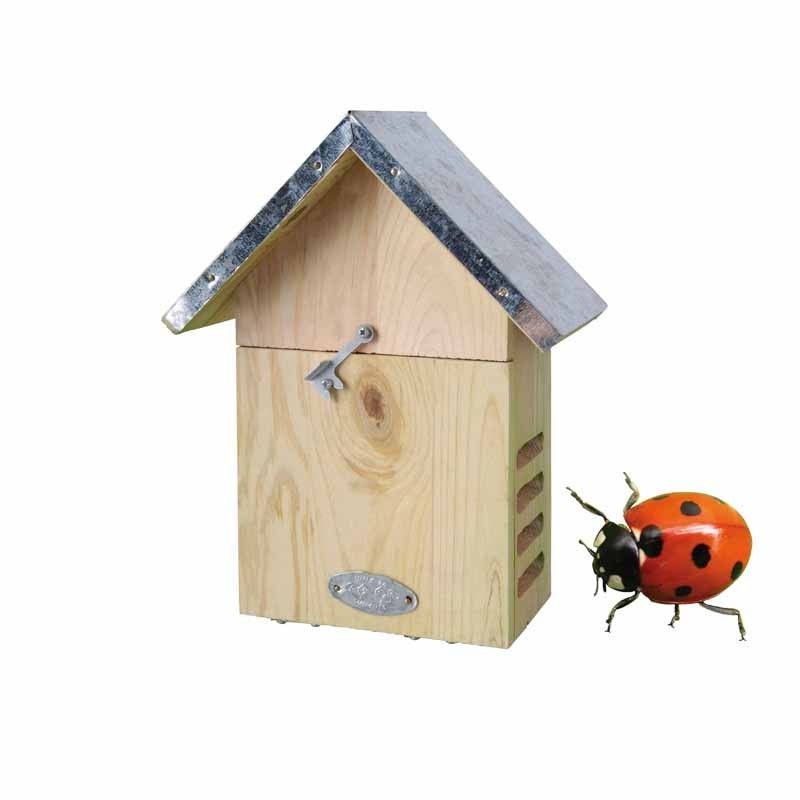 Lieveheersbeestkastje