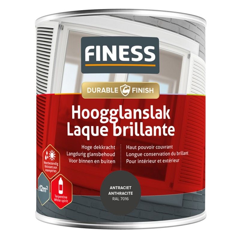 Finess Hoogglanslak