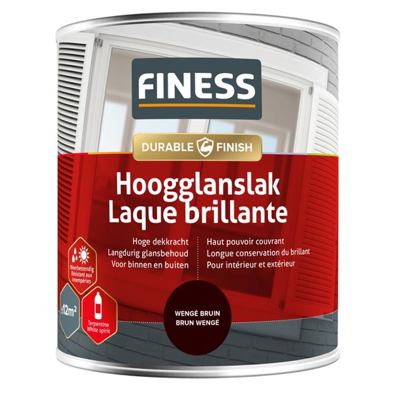 Finess Hoogglanslak