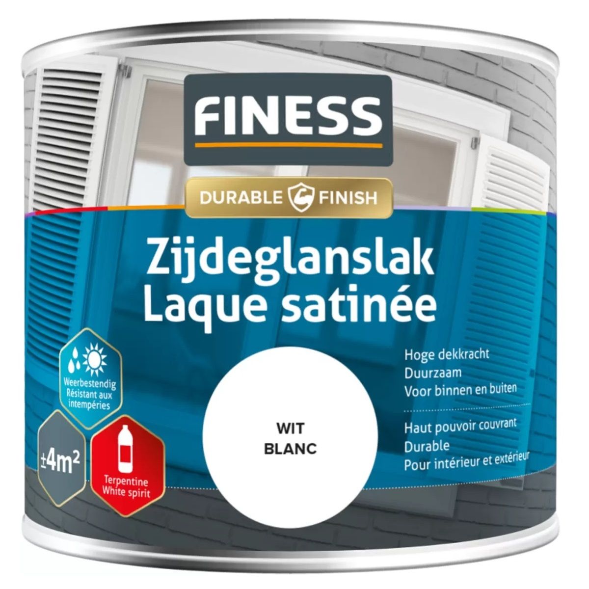 Finess Zijdeglanslak