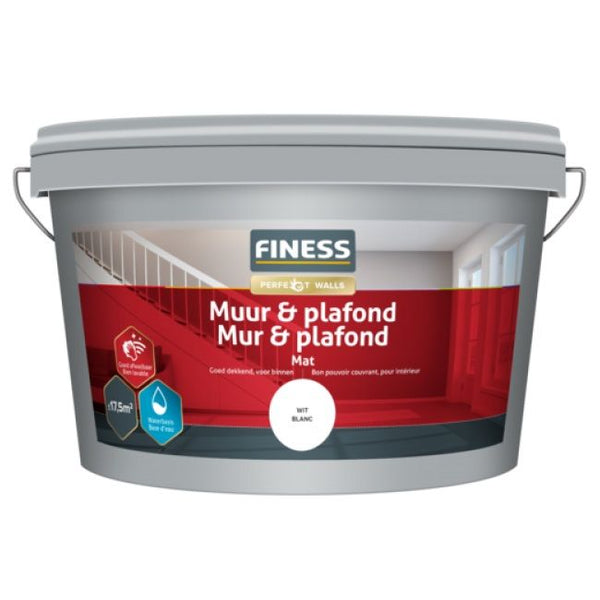 Finess Muur & Plafond
