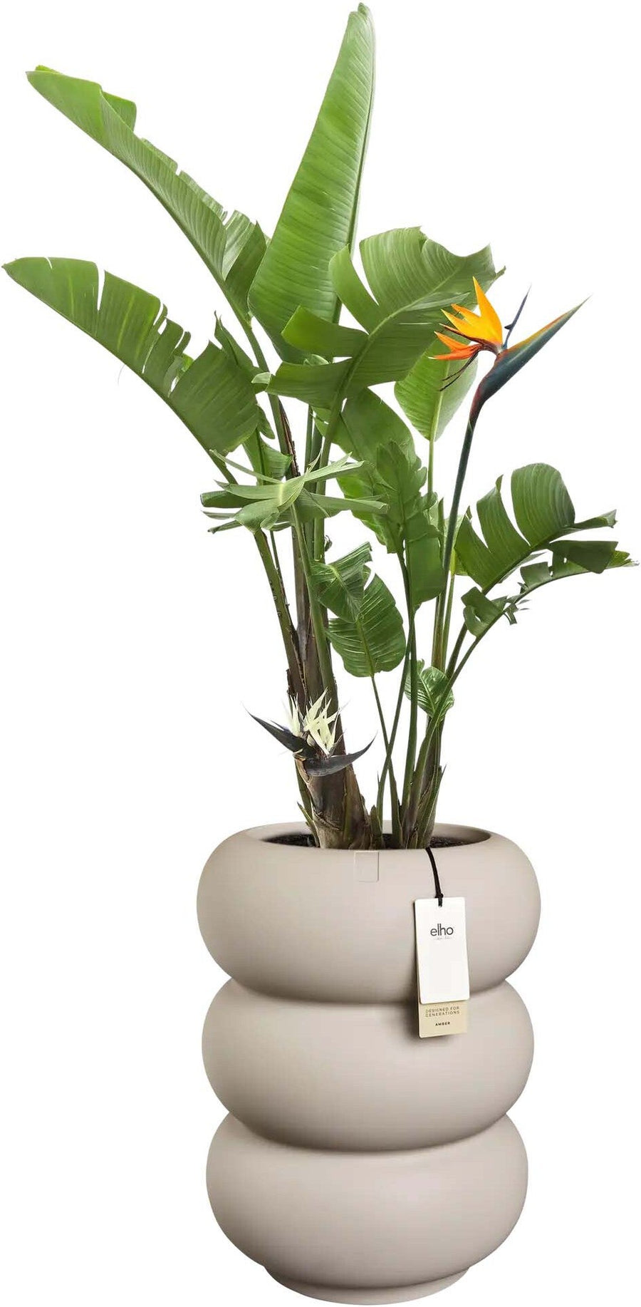Bloempot Amber roll hoog beige
